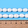 Natural Cultured Freshwater Pearl Beads Strands PEAR-T006-19D-5