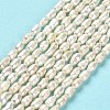 Natural Cultured Freshwater Pearl Beads Strands PEAR-E016-123-2