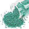 MIYUKI Delica Beads SEED-MY11-DB2505-1