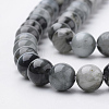 Natural Hawk's Eye Beads Strands G-S150-49-6mm-3