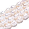 Natural Cultured Freshwater Pearl Beads Strands PEAR-N012-06K-4