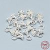 925 Sterling Silver Charms STER-T002-49S-4