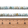 Natural Larimar Beads Strands G-F803-B01-02-5