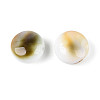 Natural Shiva Eye Shell Beads BSHE-T014-33A-3