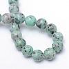Natural Sesame Jasper/Kiwi Jasper Bead Strands G-R345-10mm-12-3