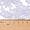 Glass Seed Beads SEED-XCP0001-32-4