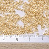 MIYUKI Delica Beads SEED-J020-DB0099-4