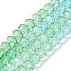 Transparent Painted Glass Beads Strands LS-DGLA-A034-T6mm-A16-2