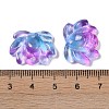 Baking Paint Glass Beads X-GLAA-S202-13A-3