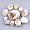 Conch Shell Pendants SSHEL-Q308-01-1