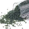 TOHO Round Seed Beads X-SEED-TR15-0119-1