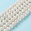 Natural Cultured Freshwater Pearl Beads Strands PEAR-E018-02-2