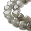 Natural Labradorite Beads Strands G-R190-10mm-35-4