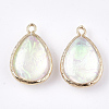 Resin Pendants RESI-S373-06-2