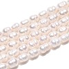 Natural Cultured Freshwater Pearl Beads Strands PEAR-T006-19A-2