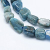 Natural Apatite Beads Strands LS-G-K203-13-3