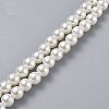 Bag Chain Straps LS-AJEW-P076-08B-3
