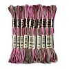 10 Skeins 6-Ply Polyester Embroidery Floss OCOR-K006-A77-1