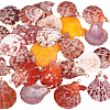 25Pcs Natural Shell Pendants PALLOY-PH01859-1