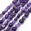 Natural Amethyst Beads Strands G-K230-13-1