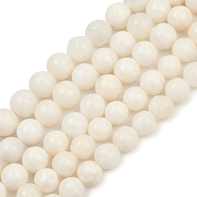 Natural White Shell Beads Strands BSHE-U002-01-1