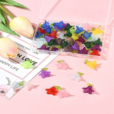 50Pcs Transparent Acrylic Pendants PALLOY-FS00043-05-1