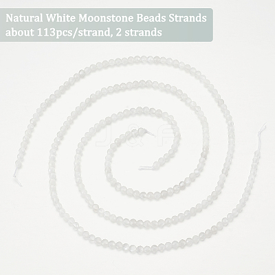 2 Strands Natural White Moonstone Beads Strands G-OC0004-42-1