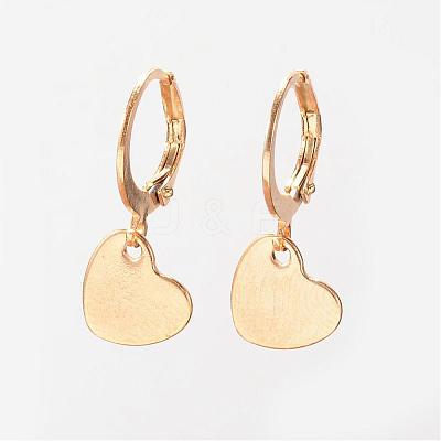304 Stainless Steel Leverback Earrings EJEW-D227-07-1