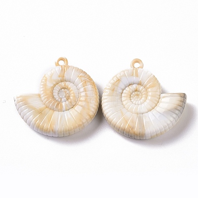 Acrylic Pendants OACR-C011-27-1