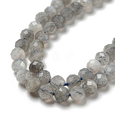 Faceted Round Natural Labradorite Bead Strands LS-G-I156-03-4mm-1