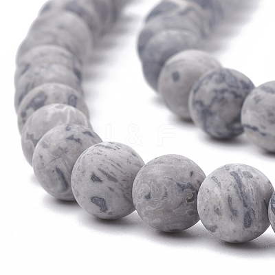 Natural Map Stone/Picasso Stone/Picasso Jasper Beads Strands X-G-T106-222-1