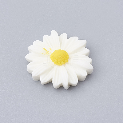 Resin Cabochons CRES-N007-10M-1