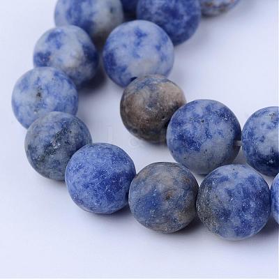 Natural Blue Spot Jasper Beads Strands G-Q462-10mm-06-1