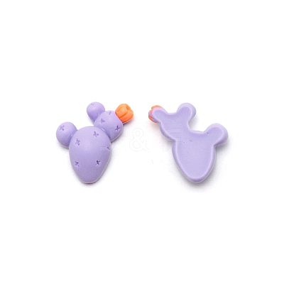 Opaque Resin Cabochons RESI-WH0028-04-1