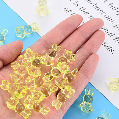 Transparent Acrylic Beads LS-MACR-S373-81-B06-1