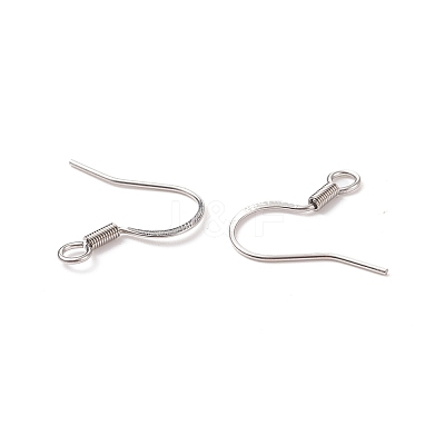 Tarnish Resistant Stainless Steel French Earring Hooks STAS-Q041-1-1