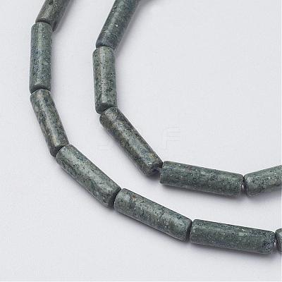 Natural Serpentine/Green Lace Stone Beads Strands G-G968-F12-1