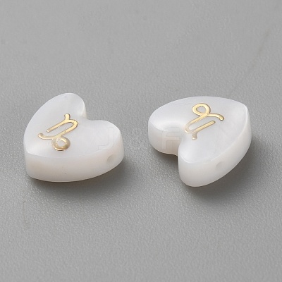 5Pcs Natural White Shell Beads BSHE-TAC0004-02L-1