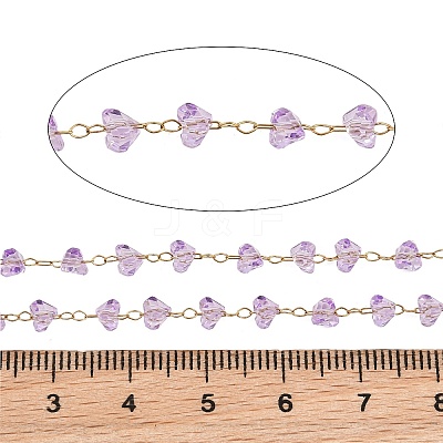 Glass & 304 Stainless Steel Beaded Chains SA-CBAD321-04D-1
