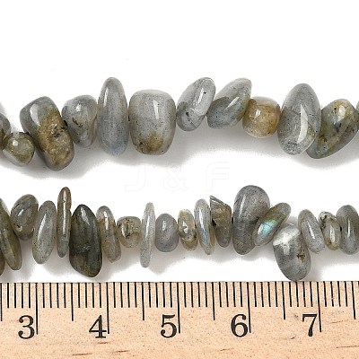 Natural Labradorite Beads Strands X-G-I225-15A-1