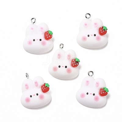 Resin Pendants X-RESI-M026-09-1