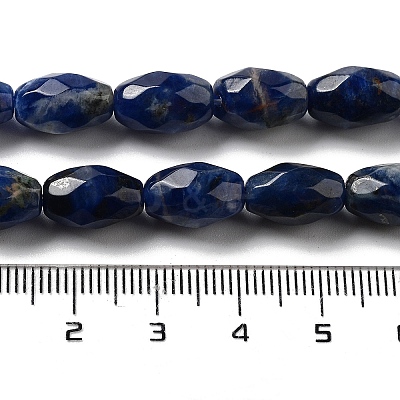 Natural Sodalite Beads Strands G-P520-C07-01-1