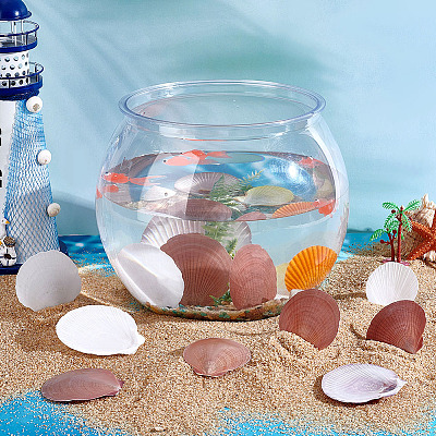 40Pcs Natural Shell for Aquarium Fish Tank Ornaments SHEL-PH0001-68-1
