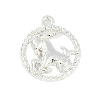 Twelve Constellations Alloy Pendants PALLOY-Q006-01C-S-1
