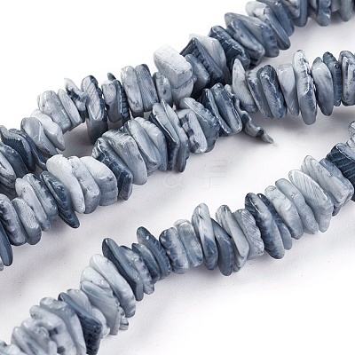 Natural Shell Beads Strands X-BSHE-I008-01-1