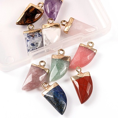 10Pcs 10 Style Natural Gemstone Pendants G-LS0002-14-1