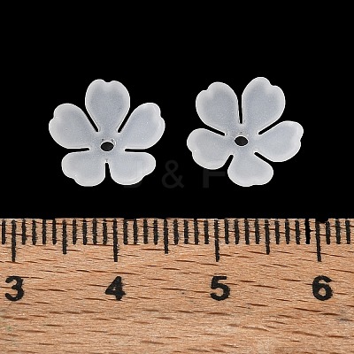 Frosted Acrylic Bead Caps AC-CBAF9C1-01-1