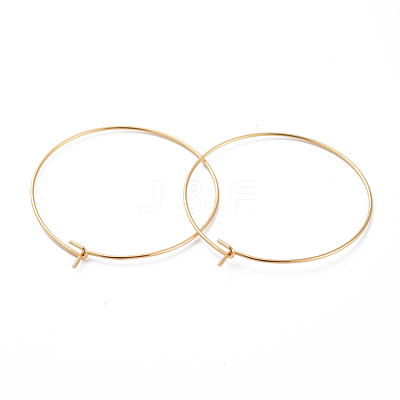 316 Surgical Stainless Steel Hoop Earring Findings STAS-J025-01E-G-1
