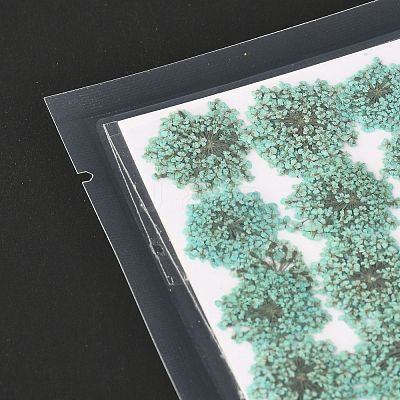 Pressed Dried Flowers DIY-K032-58H-1