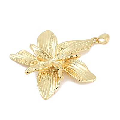 Rack Plating Brass Pendants KK-Q028-42G-1